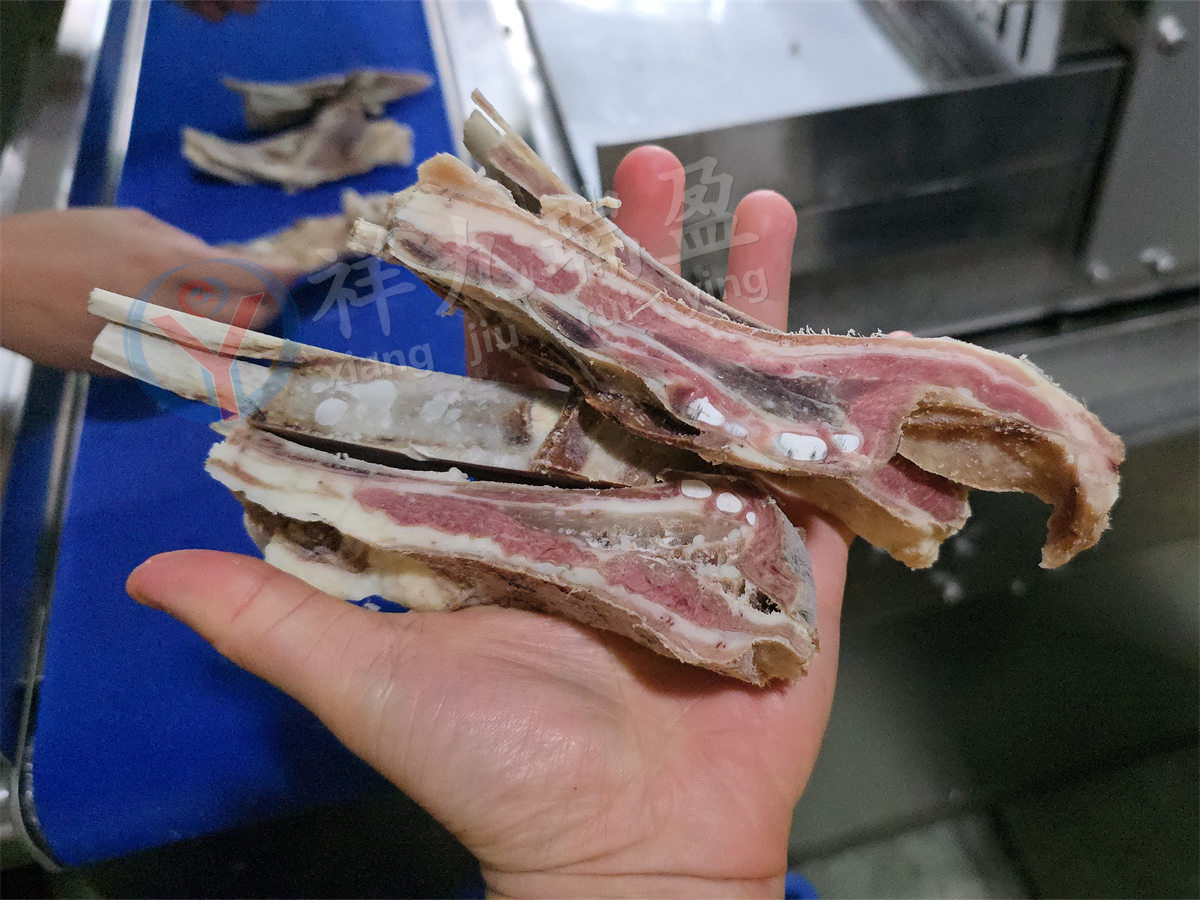 羊排锯骨机 (6) - 祥九瑞盈