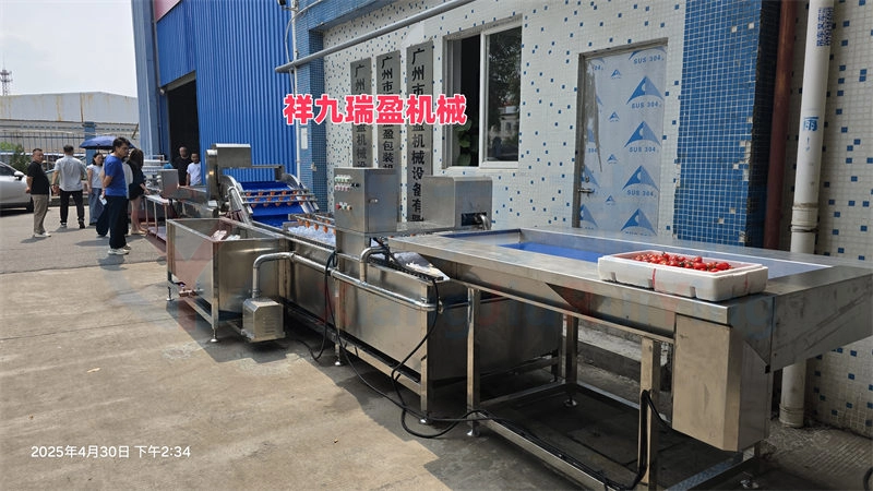 水果清洗机厂家 - 祥九瑞盈 水果清洗机厂家 - 祥九瑞盈