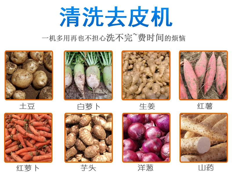 毛刷清洗机 (3) - 祥九瑞盈