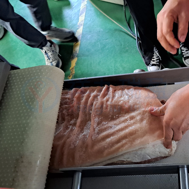 进料输送带 - 祥九瑞盈 进料输送带 - 祥九瑞盈