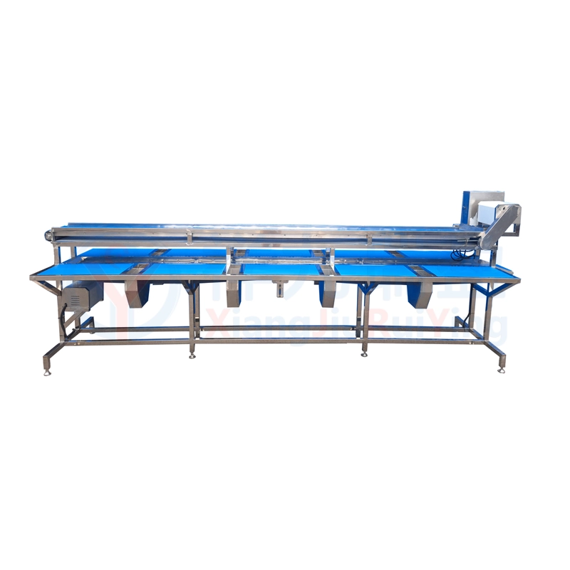 双层输送挑选台 - 祥九瑞盈 双层输送挑选台 - 祥九瑞盈