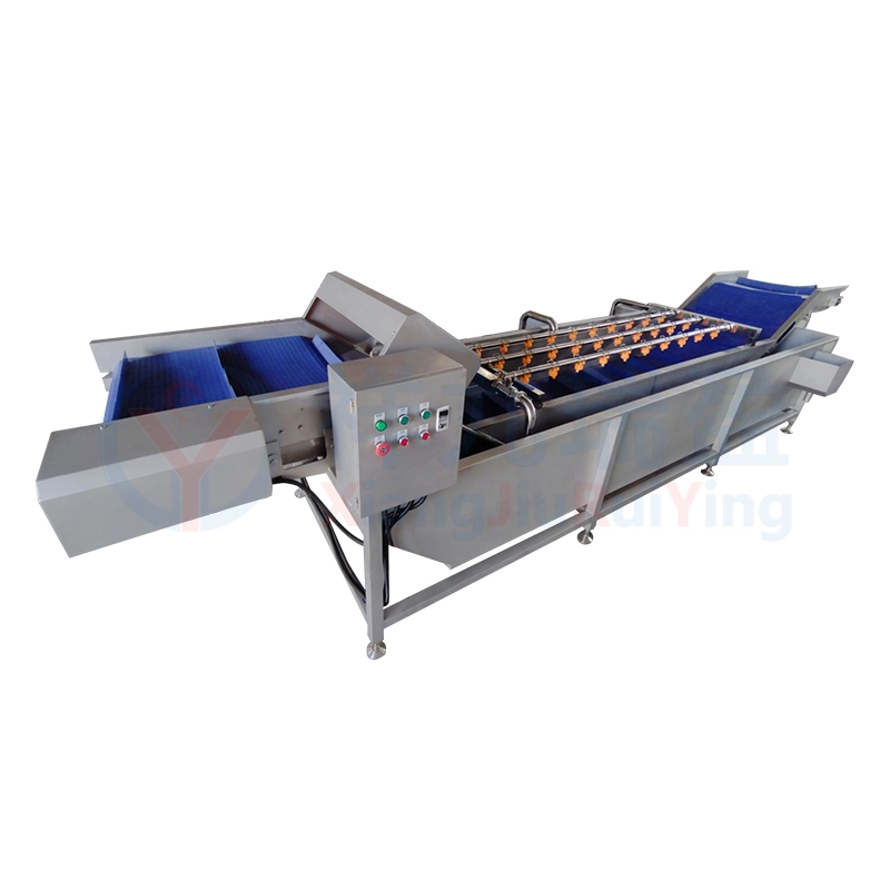 毛菜清洗机厂家 - 祥九瑞盈 毛菜清洗机厂家 - 祥九瑞盈