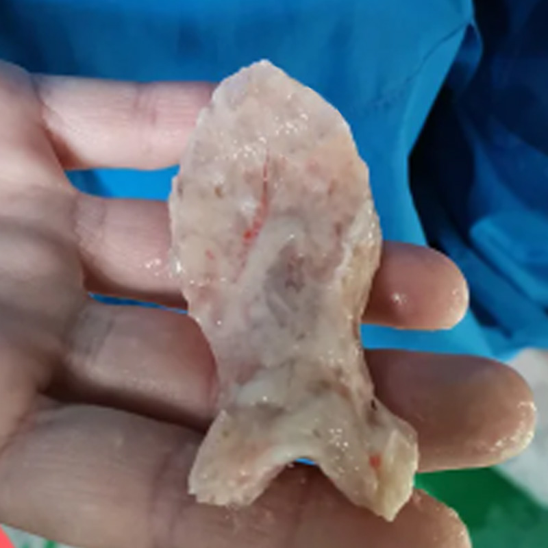 鱼仔饼 - 祥九瑞盈