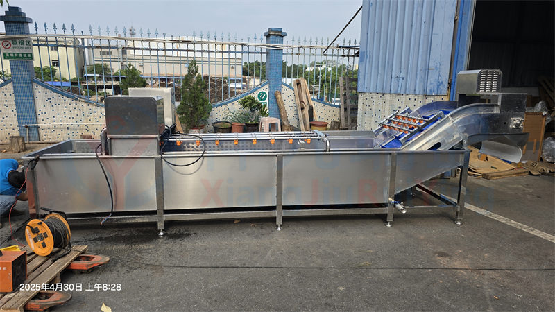 水果清洗机 水果清洗机