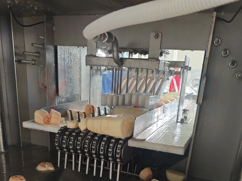 莲藕切段加工 - 祥九瑞盈 莲藕切段加工 - 祥九瑞盈