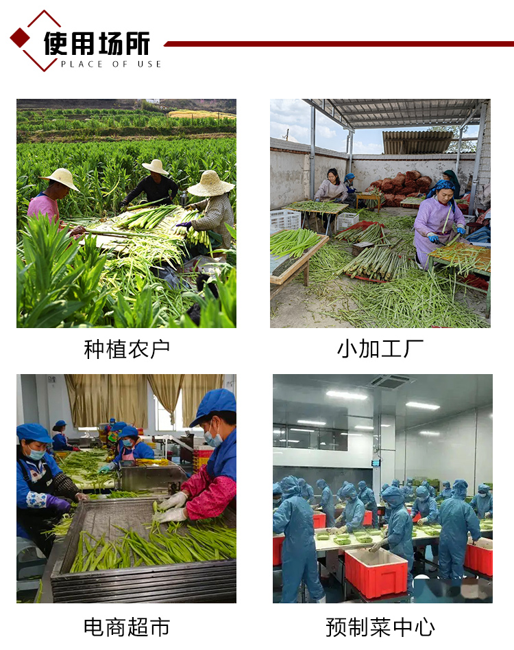 1565莴笋削皮机详情页_09 - 祥九瑞盈