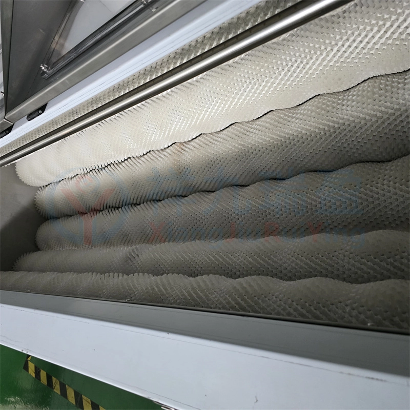 一米八土豆清洗去皮机 - 祥九瑞盈 一米八土豆清洗去皮机 - 祥九瑞盈