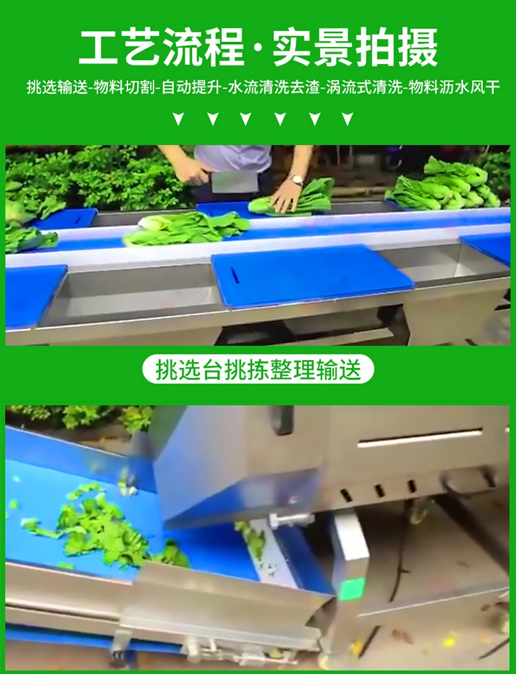 净菜加工生产线 (9) - 祥九瑞盈