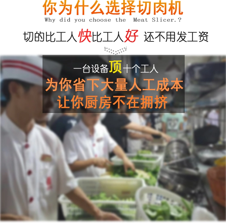 309B鲜肉切肉机 (2) - 祥九瑞盈