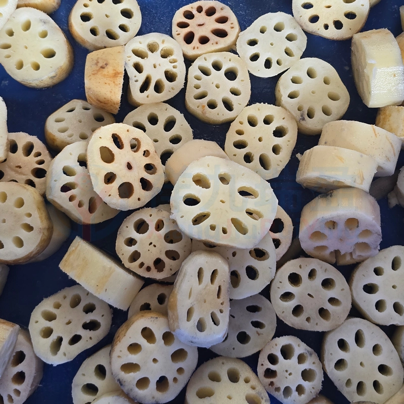 莲藕切段效果 - 祥九瑞盈 莲藕切段效果 - 祥九瑞盈