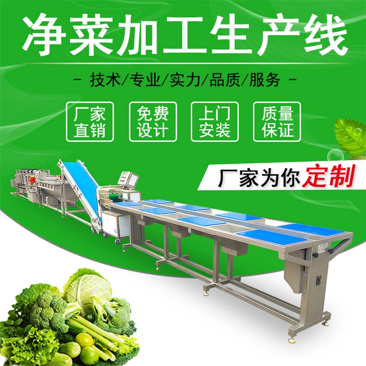净菜加工生产线 (1) - 祥九瑞盈