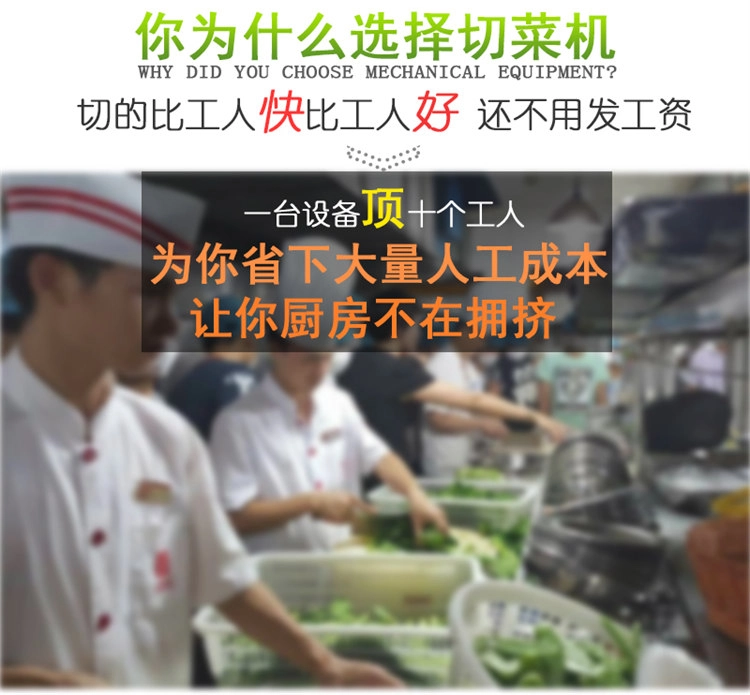 大型切菜机厂家 (2) - 祥九瑞盈