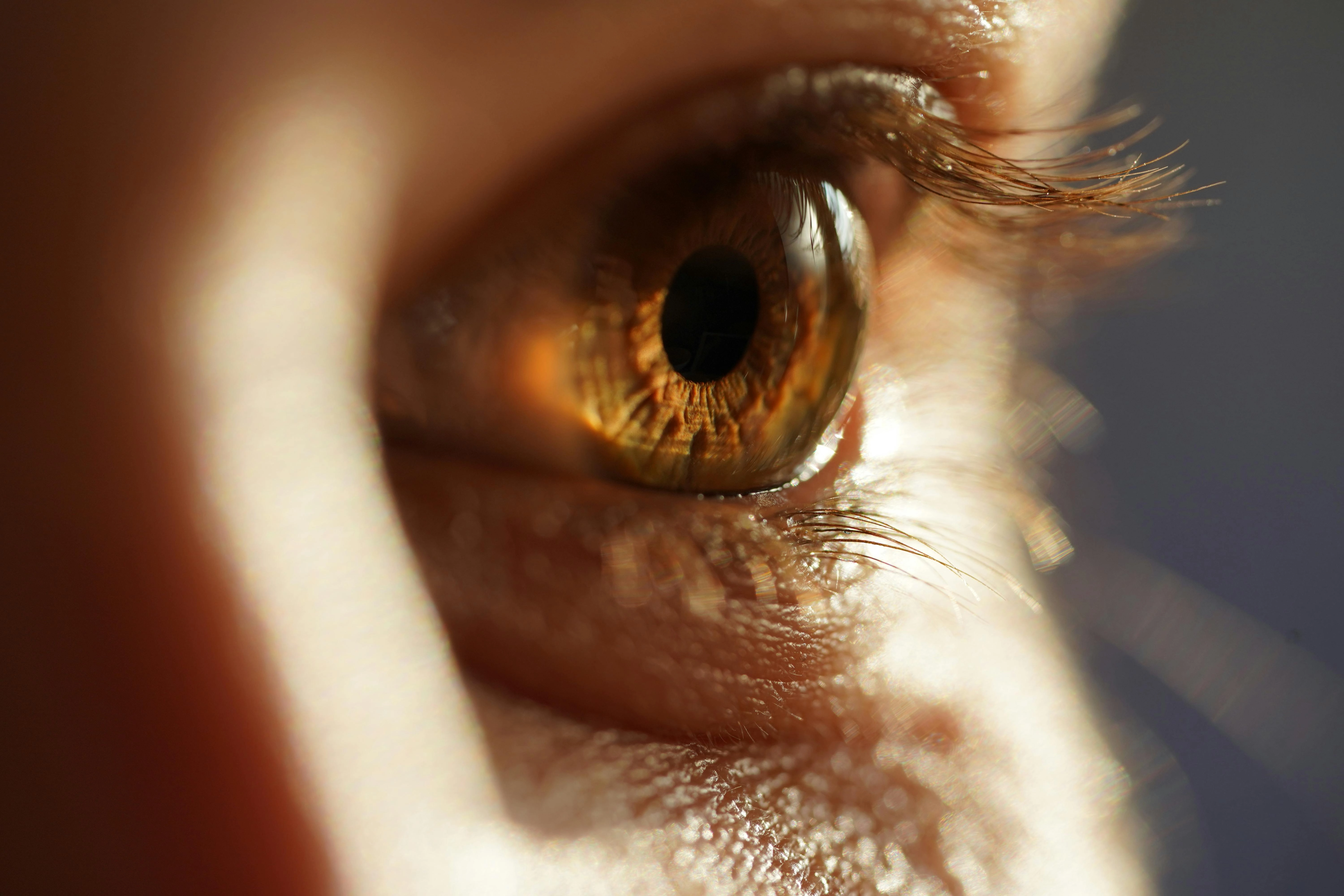 eyes-lash Detailed macro photography focusing on the brown human eye and lashes, showcasing intricate details.