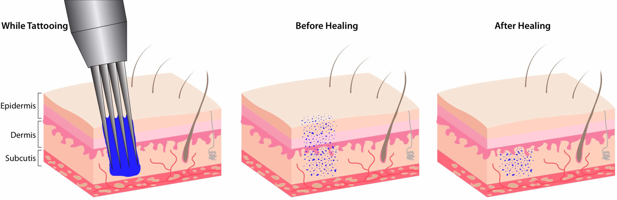 permanent makeup pigment ingredeients