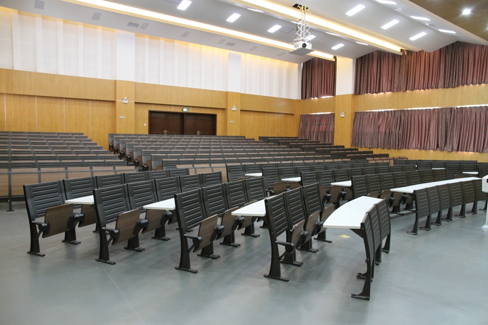 Lecture Hall Seating Design