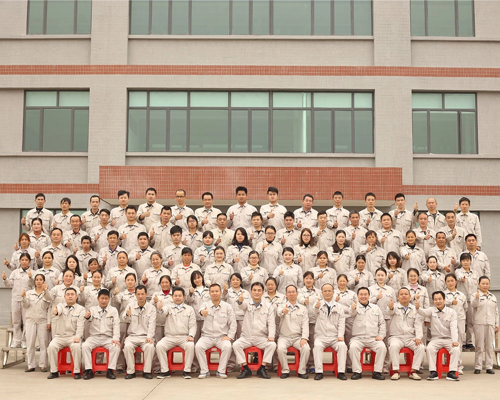 Professional Team