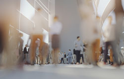 Exhibitions - TYM