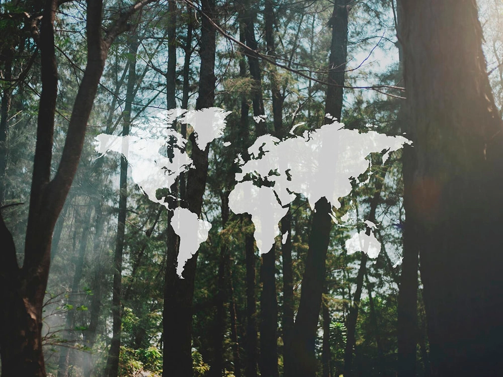 SUSTAINABILITY - LQE