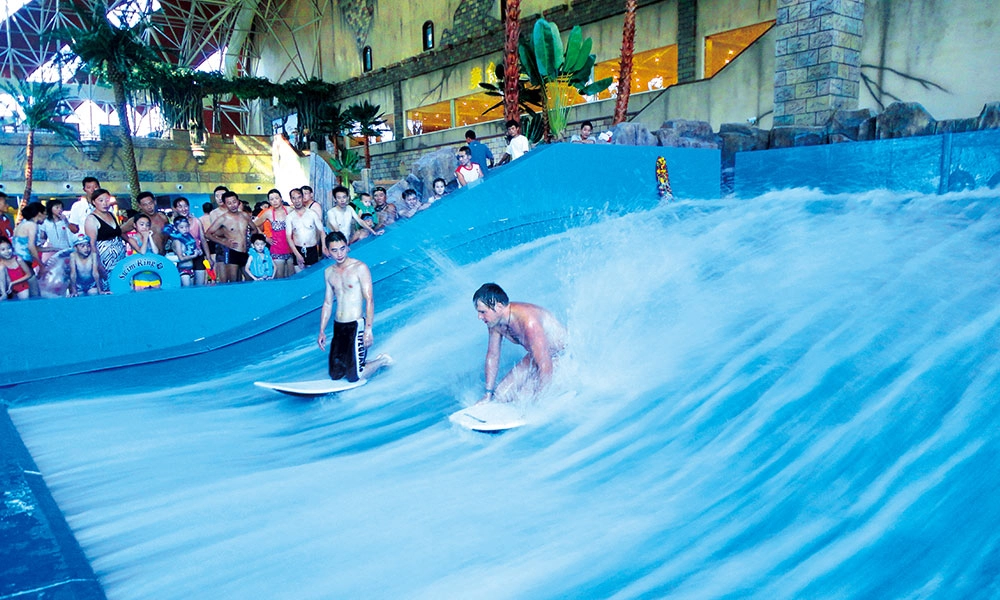 Surfing Simulator - WM International