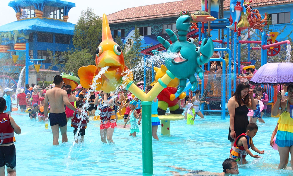 Cartoon Fish Combination - WM International