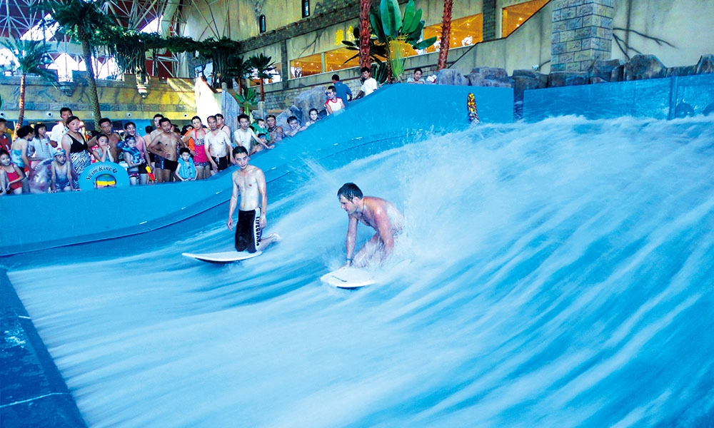 Surfing Simulator - WM International