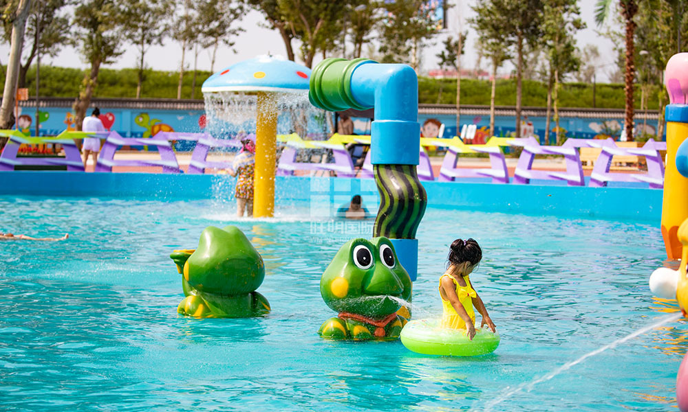 Water Playing Frog Water Playing Frog