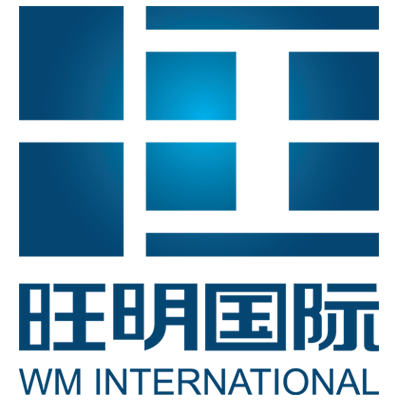 WM INTERNATIONAL