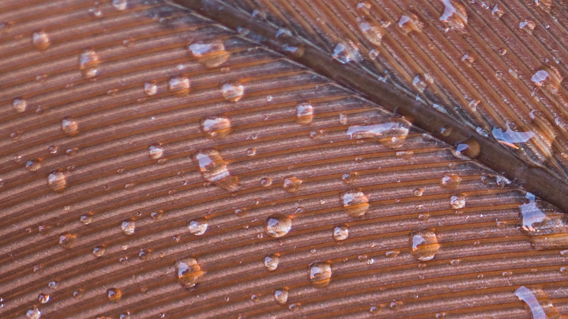 Excellent-Waterproofing-Performance-to-Ensure-Exterior-Facade-Protection - KINGDELI