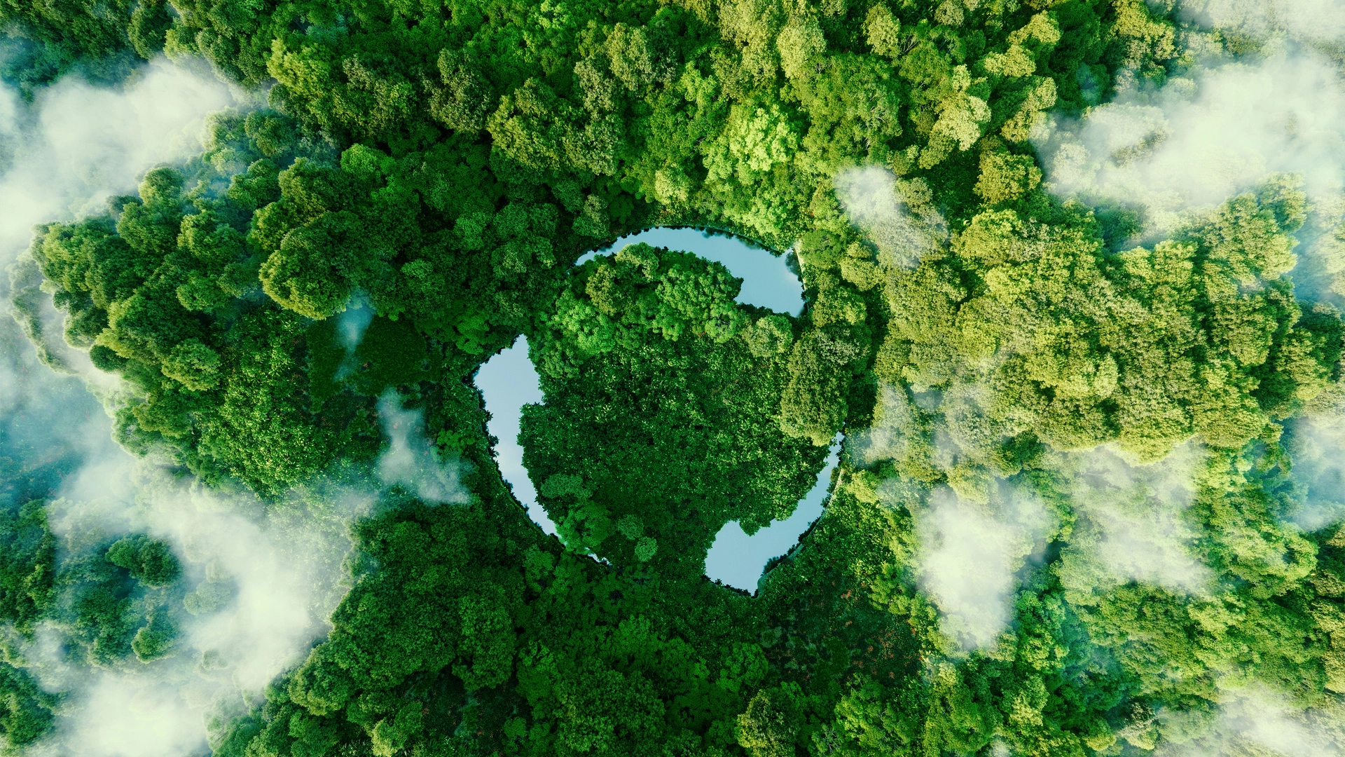 Social-Responsibility - KINGDELI