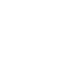 hair-brush - Senkelly