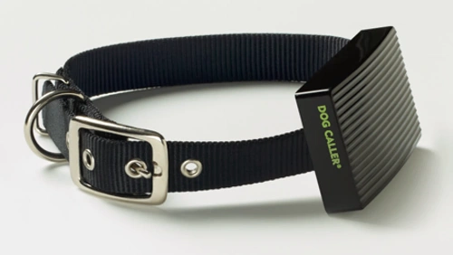 A black Dog Caller with Temperature Sensing Probe attached to a black nylon collar.