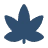 cannabis cannabis