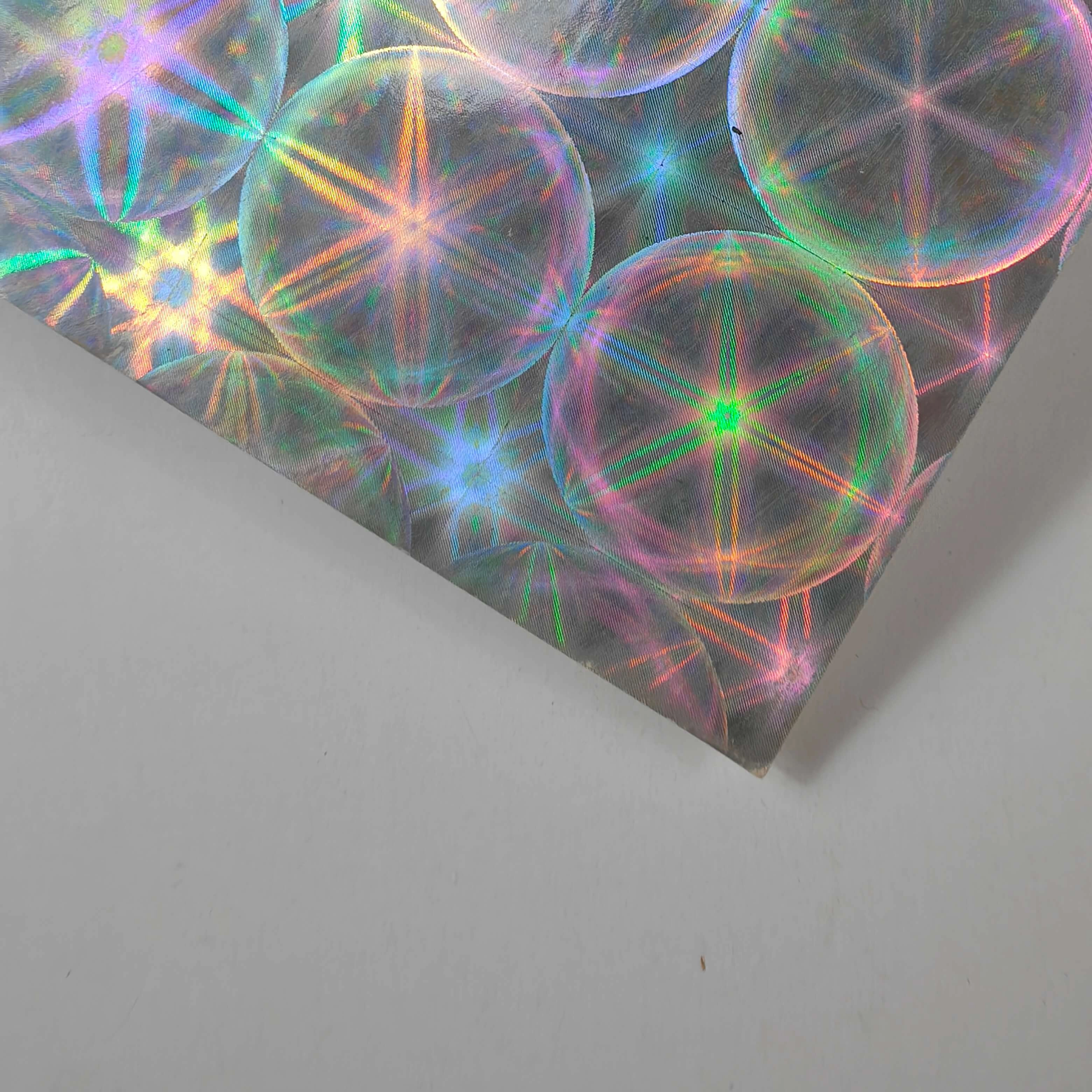 Holographic-Paper Holographic Paper
