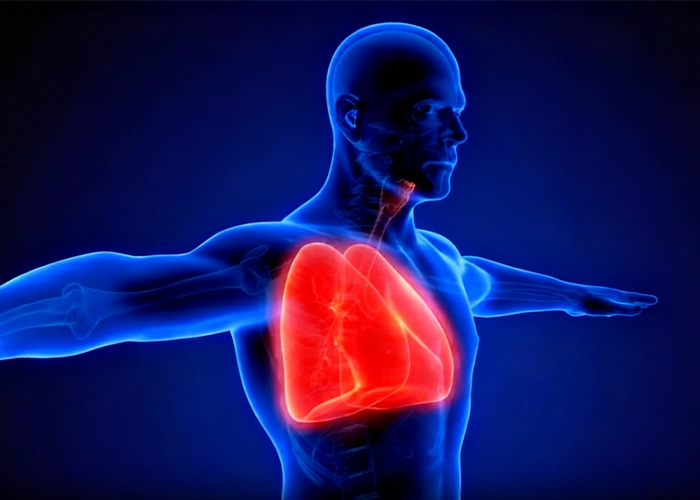 Enhance Cardiovascular And Pulmonary function - INBOXpod