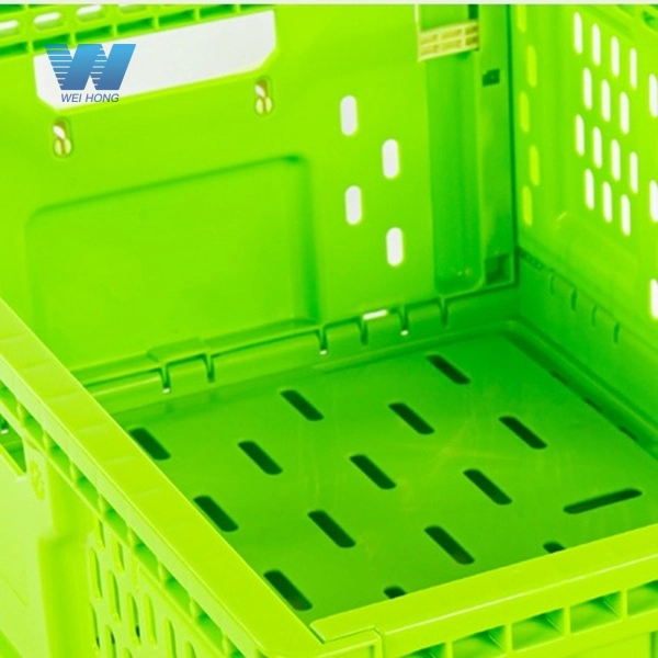 6 - Weihong 6 - Weihong