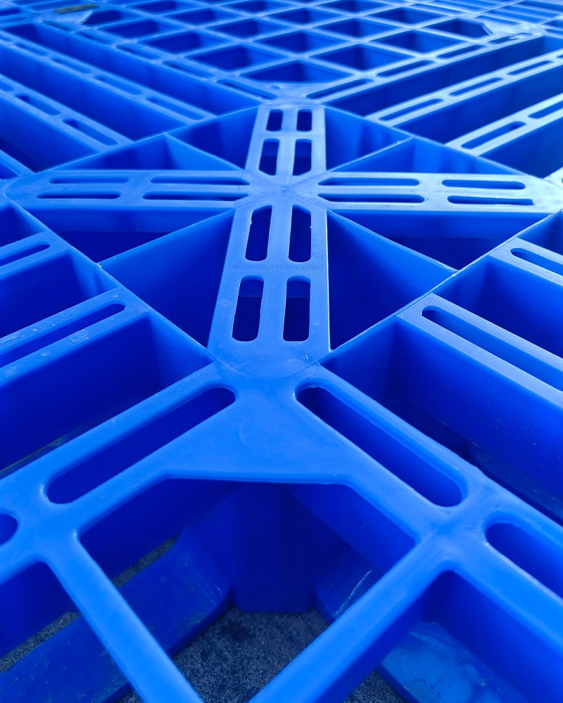 Elegant Design - Weihong