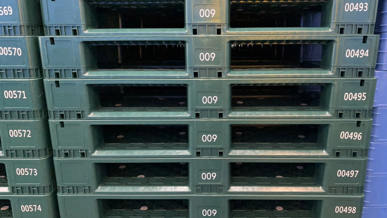 Plastic Pallet Philippines Project 1 - Weihong