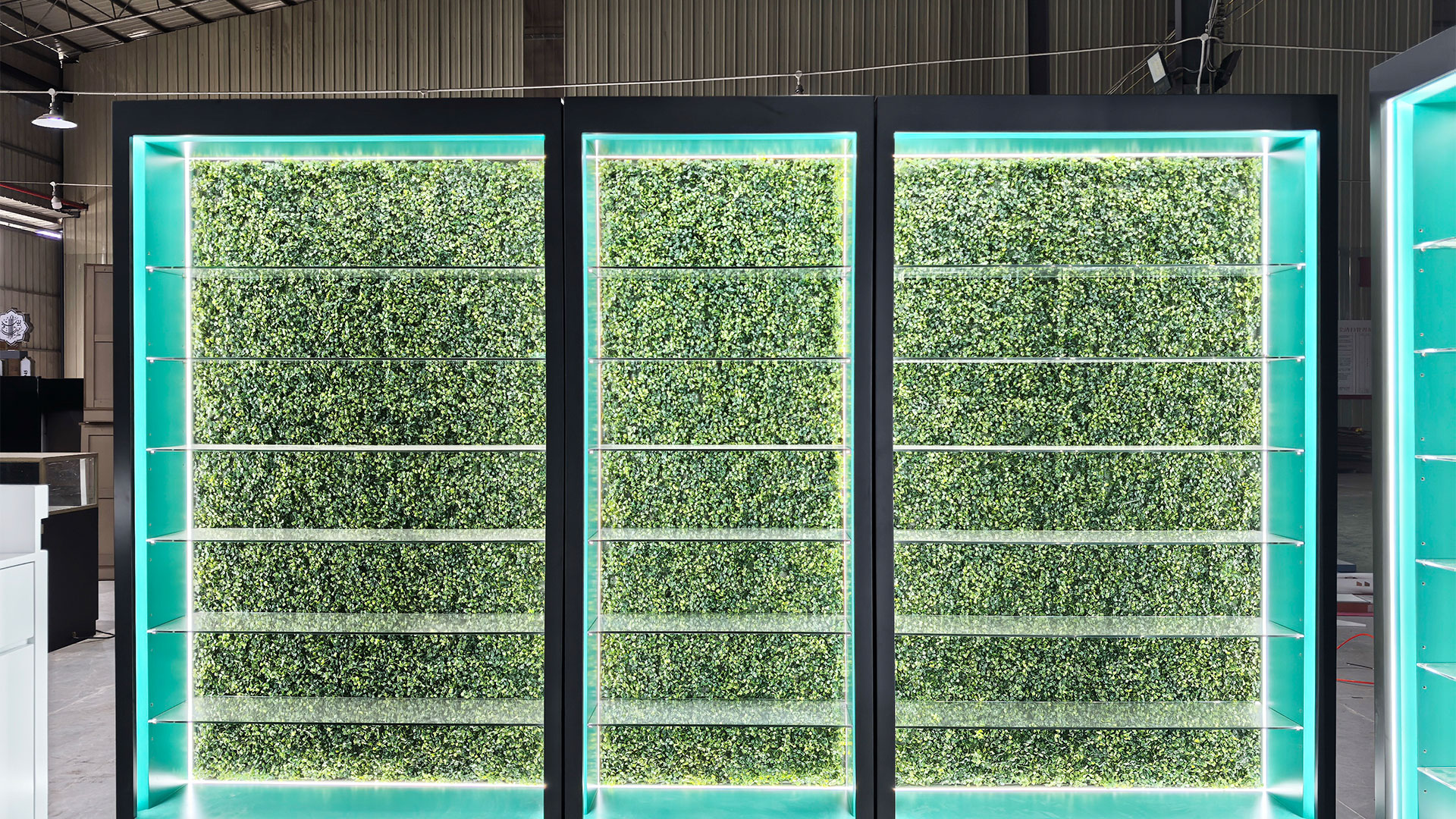 Dispensary-cannabis-display-case