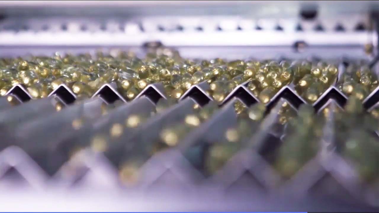 contract supplement manufacturer - CSK Biotech