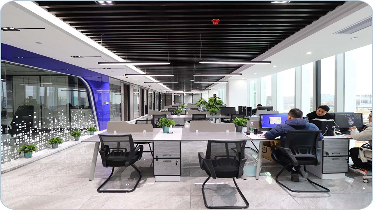 contract supplement manufactruer - CSK Biotech