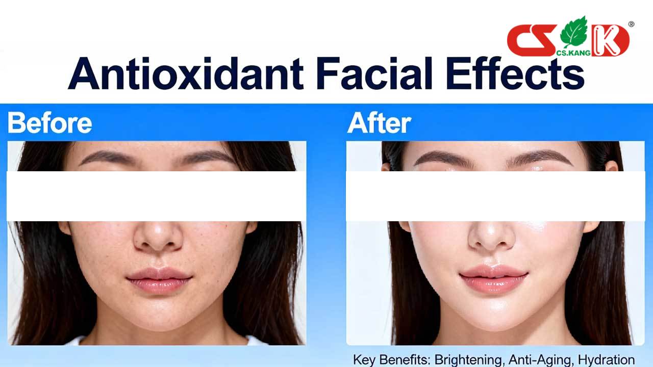 antioxidant-supplement-manufacturer antioxidant-supplement-manufacturer