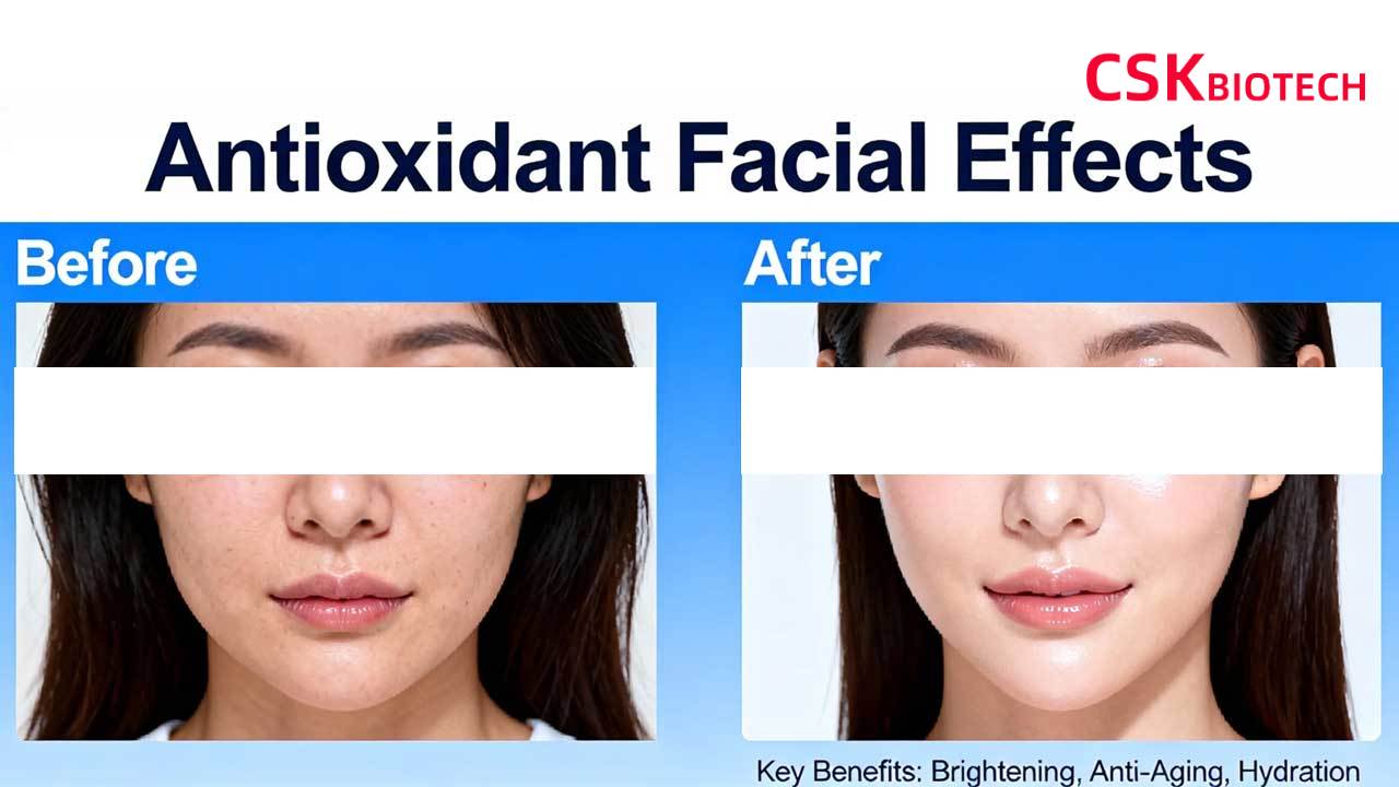 antioxidant-supplement-manufacturer antioxidant-supplement-manufacturer
