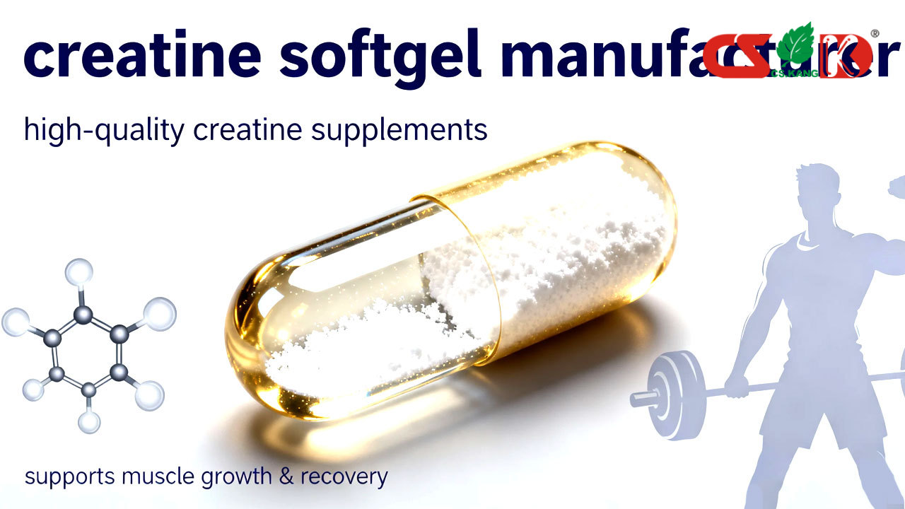 creatine-softgel-manufacturer creatine-softgel-manufacturer