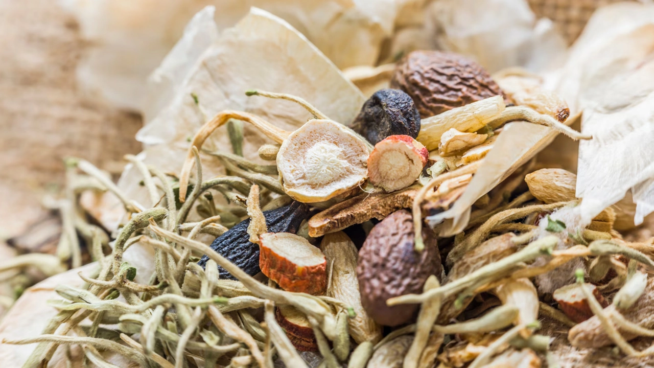 Digestive and probiotic products-1 - CSK Biotech