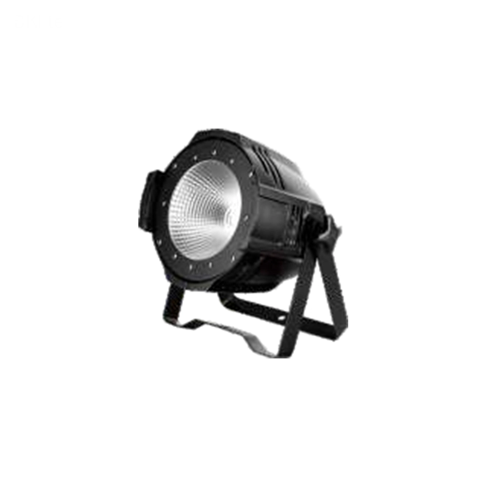 100W-LED-COB-Par 100W LED COB Par