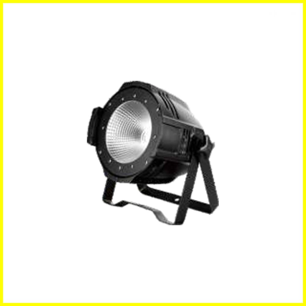 100W-LED-COB-Par 100W LED COB Par
