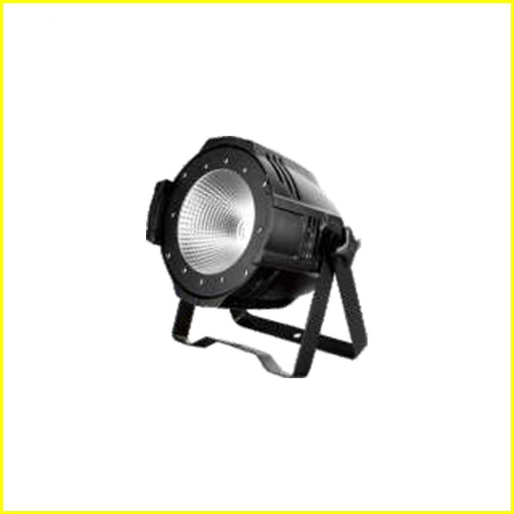 100W-LED-COB-Par 100W LED COB Par