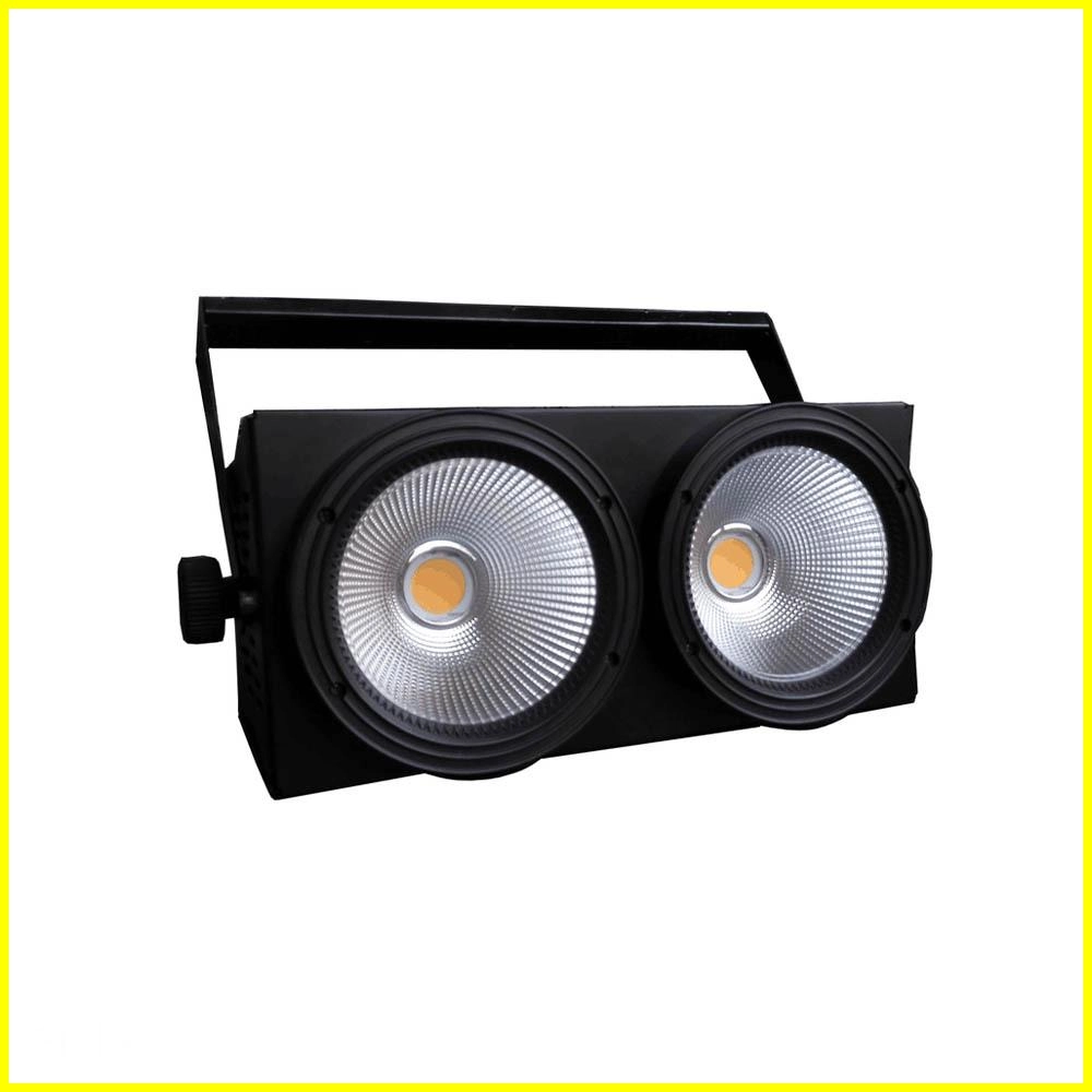 2x100W-Led-COB-Blinder 2x100W Led COB Blinder