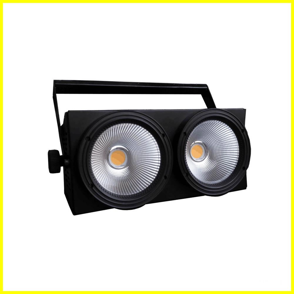 2x100W-Led-COB-Blinder 2x100W Led COB Blinder
