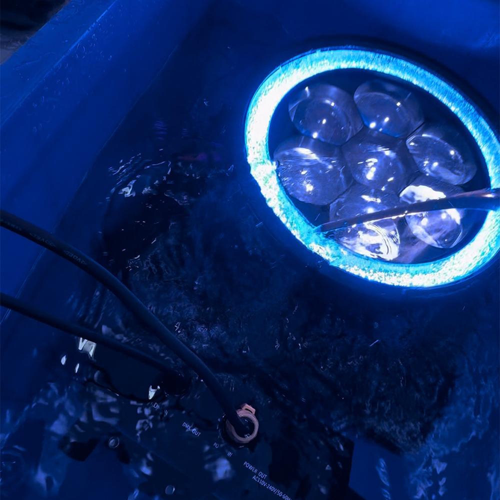 IP65 Bee Eye 7x180w RGBL LED.1